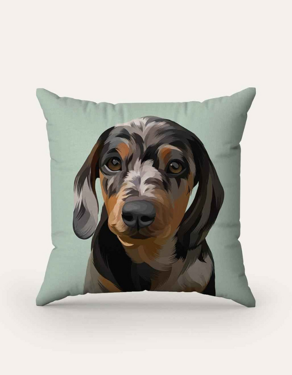 Modern Custom Pet Cushion – Your Pet, Your Style
