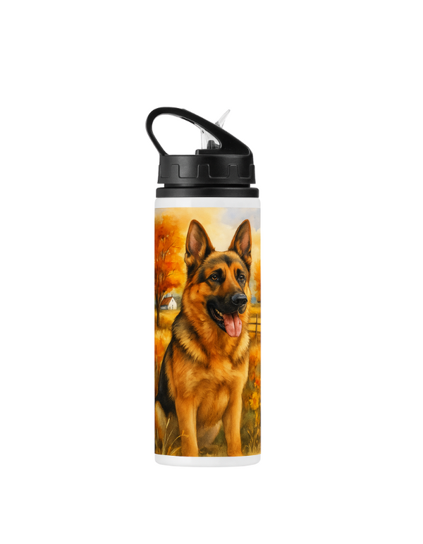 Anime-Inspired Printed Sipper Bottle – 750ml